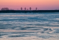 046_Biebrza - marzec 2013
